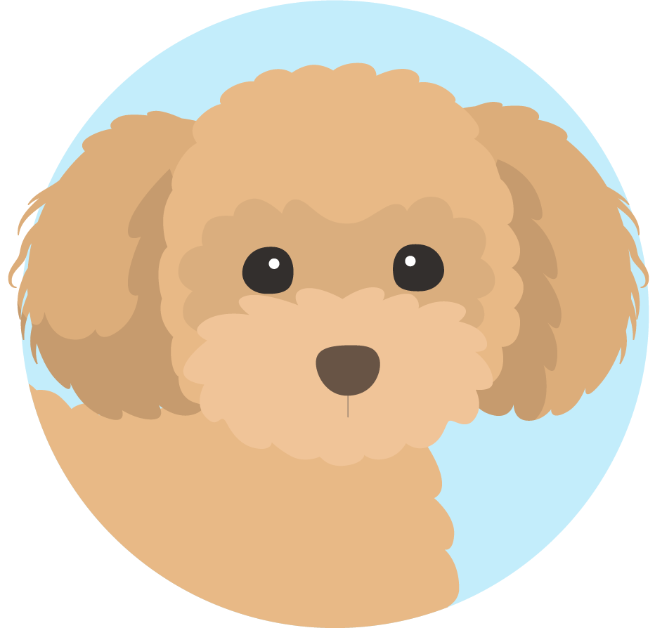 犬のアイコン