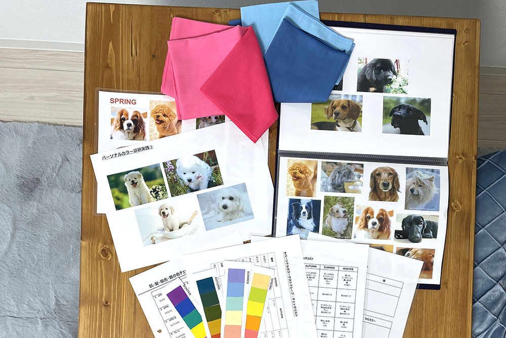 DOGパーソナルカラー診断のグッズ